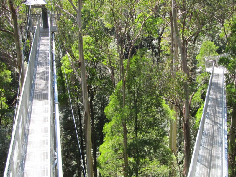 Should we go or should we ‘no’? Tools for making any big decision