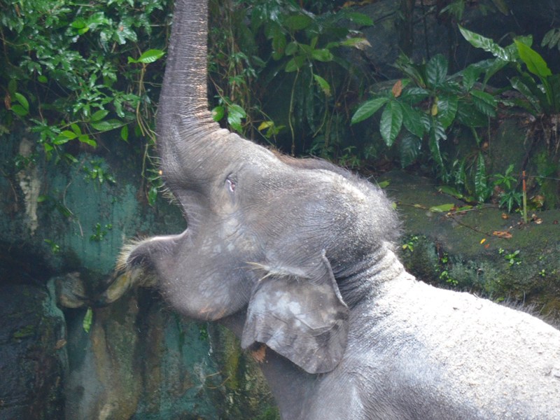 The power of positive feedback