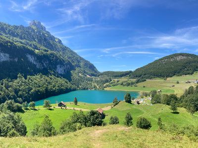Taking a swim for a fresher feeling + testing 17 outdoor swimming places in Zurich