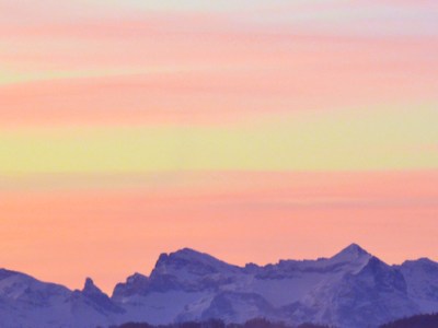 WOOP your wish come true. Wish-Outcome-Obstacle-Plan