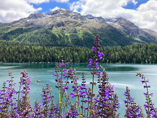 Day 2 in Engadin: The Lake St. Moritz and the UNESCO World Heritage railway trail