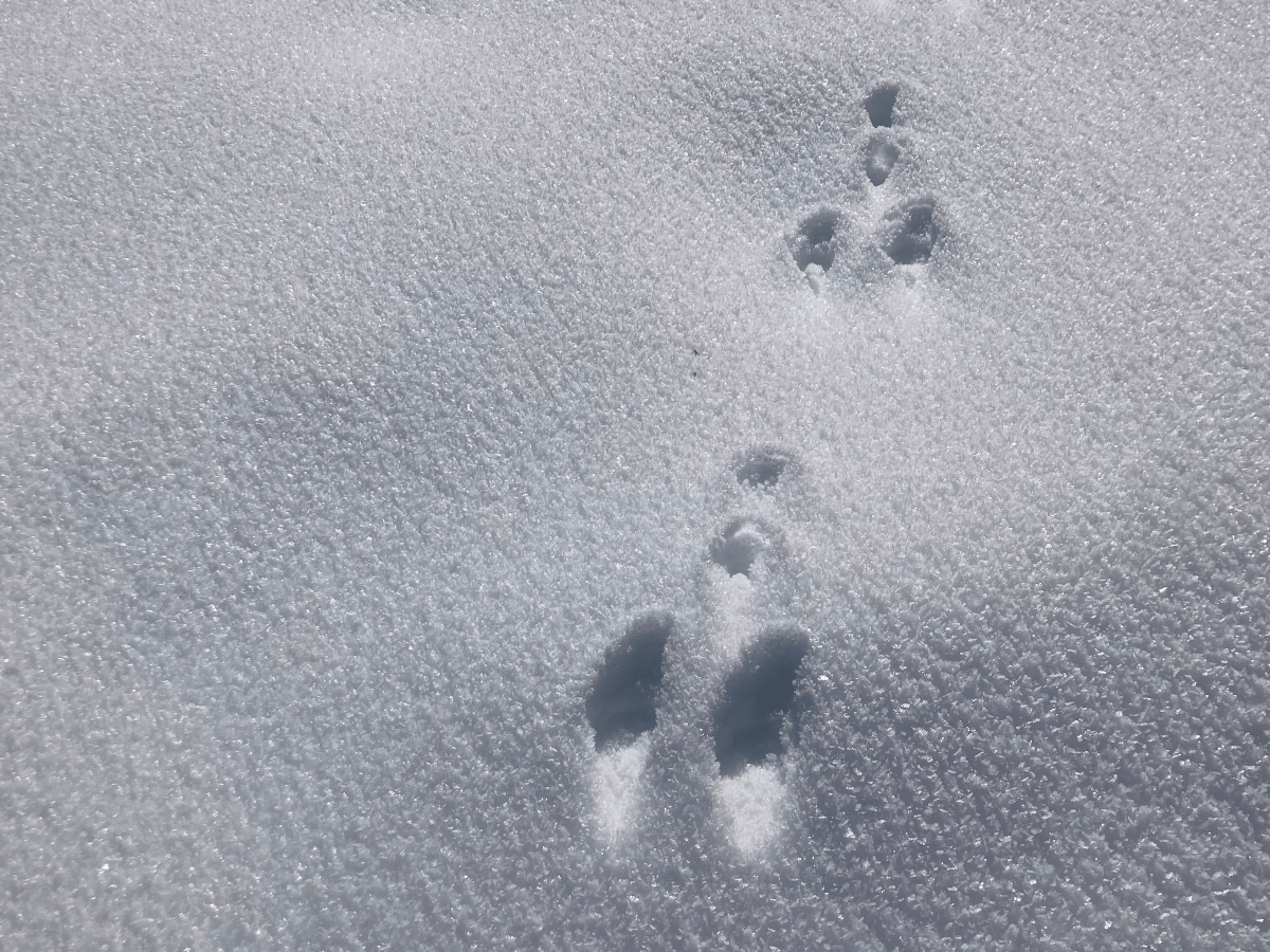 What do a hike and a design project have in common, and how to prepare for both?