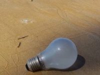 Art can inspire change and action to improve the environment