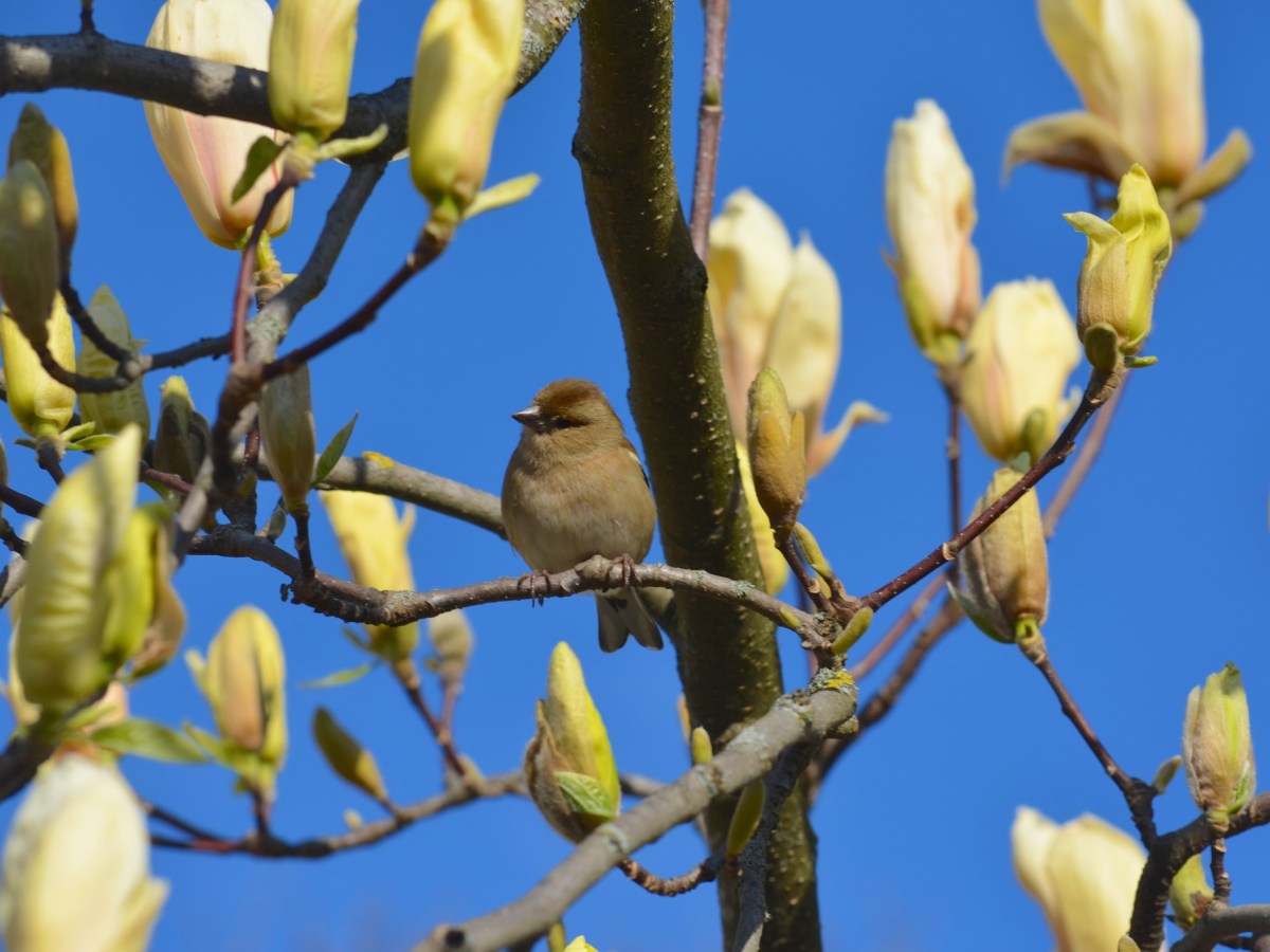 Find a treasure trove beyond routines and achievements